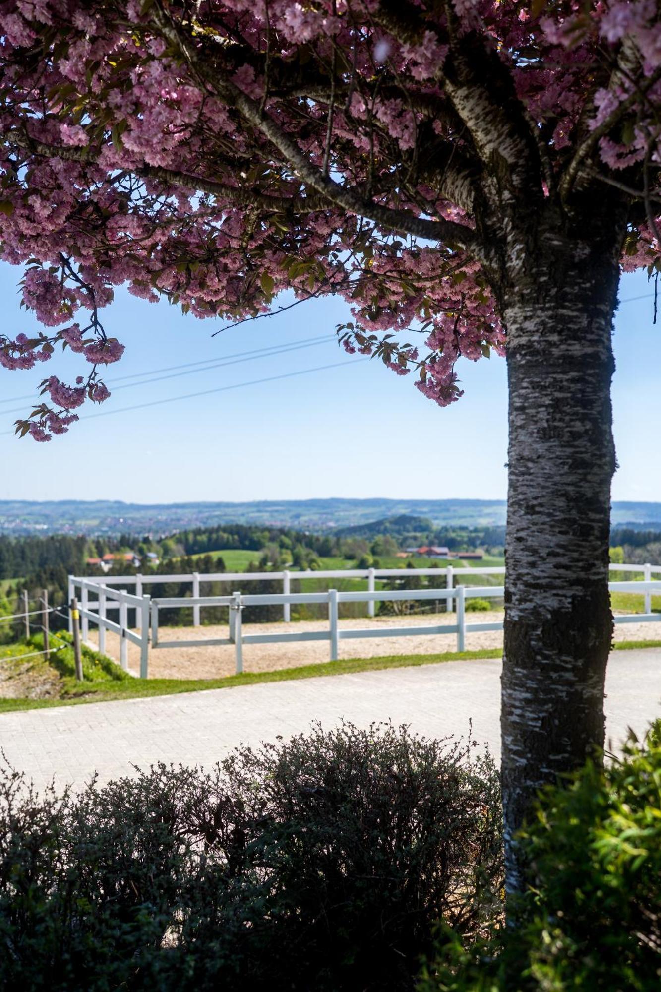 Apartamento Gut Buchenhof Buchenberg  Exterior foto